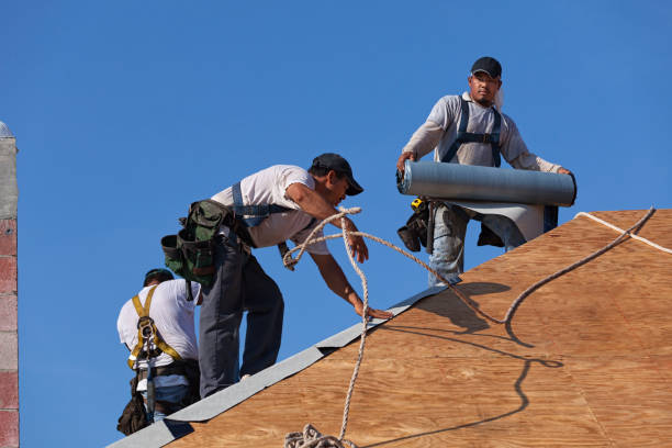 Best Roof Gutter Cleaning  in Clarksville, IA